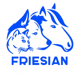 FRIESIAN